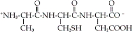 Identify the correct representation of the given tripeptide.   A)  Ala-Cys-Asp B)  Ala-Cys-Glu C)  Asp-Cys-Ala D)  Glu-Cys-Ala