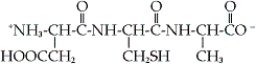 Identify the correct representation of the given tripeptide.   A)  Ala-Cys-Asp B)  Ala-Cys-Glu C)  Asp-Cys-Ala D)  Glu-Cys-Ala