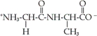 Which of the following dipeptides is glycylalanine? A)    B)    C)    D)   