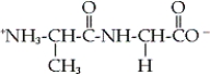 Which of the following dipeptides is glycylalanine? A)    B)    C)    D)   