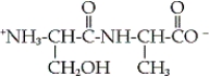 Which of the following dipeptides is glycylalanine? A)    B)    C)    D)   
