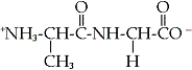 Which of the following dipeptides is alanylglycine? A)    B)    C)    D)   