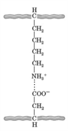 Consider the given image. What type of interaction is depicted by the dotted line in the given image?   A)  hydrogen bonding B)  covalent bonding C)  a hydrophobic interaction D)  salt bridges E)  a metal ion coordination