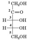Examine the given chemical structure.   What is the number assigned to the penultimate carbon in this structure? ​ A)  1 B)  2 C)  3 D)  4 E)  5