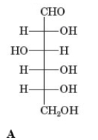 Examine the following structures.         Which of the following structures is an aldopentose? A)  A B)  B C)  C D)  D E)  None of these is an aldopentose.
