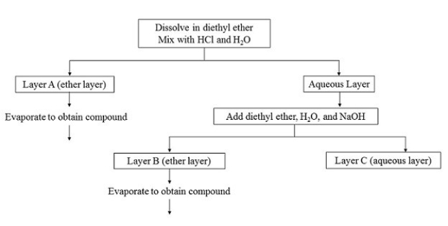 A mixture containing 2-octanol, cyclohexanamine, and potassium chloride is separated using the process shown in the given flowchart.   From which layer can cyclohexamine be extracted? A)  A B)  B C)  C D)  from all layers