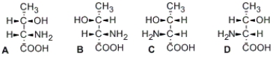 Illustrated Here are the Four Stereoisomers of an Amino Acid | Biology+