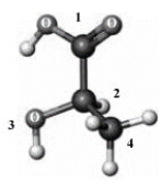 Consider the following ball-and-stick model. Atoms other than carbon and hydrogen are indicated by the chemical symbol of the element.   Which of the numbered groups is assigned the highest priority? A)  1 B)  2 C)  3 D)  4 E)  1 and 3 are given equal priority.