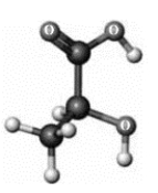 Consider the following ball-and-stick model. Elements other than hydrogen and carbon are labeled.     If the specific rotation of this substance is +2.6°, then what is the specific rotation of the following substance? A)  +2.6° B)  −2.6° C)  0° D)  +5.2° E)  −5.2°