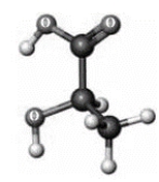 Consider the following ball-and-stick model. Elements other than hydrogen and carbon are labeled.   The specific rotation of this substance is +2.6°. Which of the following describes this substance? A)  dextrorotatory B)  levorotatory C)  both dextrorotatory and levorotatory D)  none of these