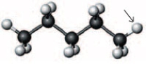 Consider the following ball-and-stick model.   If the hydrogen atom indicated by the arrow is replaced by a butyl group, what will be the name of the resulting compound? A)  decane B)  nonane C)  octane D)  None of these are correct names for the resulting compound.