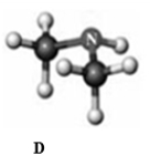 Answer the following questions based on the ball-and-stick models given below. Atoms other than carbon and hydrogen are labeled with the symbol of the element.         Which of the following ball-and-stick models represents a secondary alcohol? A)  A B)  B C)  C D)  D E)  none of these