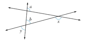 Given that   and   , find the measures of   and   .   A)    ;   B)    ;   C)    ;   D)    ;   E)    ;  