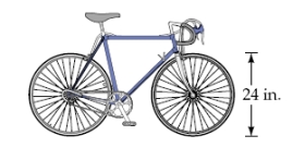 A bicycle wheel has a diameter of 24 inches. How many feet does the bicycle travel when the wheel makes 4 revolutions? Round your answer to the nearest hundredth.   A)  25.13 ft B)  12.57 ft C)  301.59 ft D)  22.14 ft E)  6.28 ft