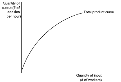 <strong>Graph 13-1   This graph depicts a production function for a firm that produces cookies. Use the graph to answer the following question(s). Refer to Graph 13-1. The slope of the total product curve reveals information about the:</strong> A) average product of workers B) fixed product of workers C) total product of workers D) marginal product of workers <div style=padding-top: 35px> 