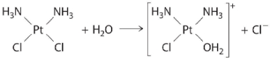 The following is an example of a first-order reaction involving the _____.   A)  reaction of t-butyl bromide with water to give t-butanol B)  hydrolysis of the anticancer drug cisplatin C)  oxidation of ethanol to acetaldehyde in the liver D)  decomposition of N<sub>2</sub>O on a platinum surface E)  hydrolysis of aspirin