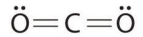 Which of the following is the Lewis structure of CO<sub>2</sub>? A)    B)    C)    D)    E)   