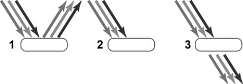 Enter the appropriate word(s) to complete the statement. In the figure above, Item 1 is a visual representation of light ____________________.