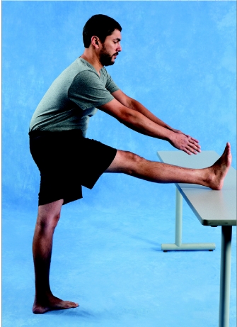   -What is preventing further stretch of the hamstrings as shown in the image? A) Passive insufficiency of the quadriceps muscles B) Passive insufficiency of the hamstring muscles C) Active insufficiency of quadriceps muscles D) Active insufficiency of hamstring muscles
