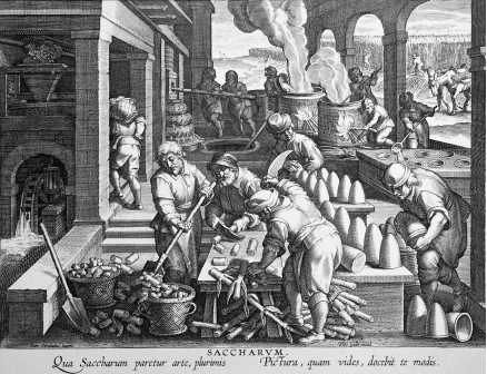 Use the image below to answer all parts of the question that follows.   This 1594 engraving by Dutch artist Jan van der Straet depicts the sugar manufacturing process. (A) Identify ONE limitation of the image as a source of information about sugar manufacture in Brazil and the Caribbean. (B) Identify ONE additional limitation of the image as a source of information about sugar manufacture in Brazil and the Caribbean. (C) Identify and explain ONE historical claim about sugar manufacture that can be supported based on the image.