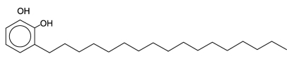 One of the skin-irritating components of poison oak is tetrahydrourushiol:   The long, nonpolar hydrocarbon tail embeds itself in a person's oily skin, where the molecule initiates an allergic response. Scratching the itch spreads tetrahydrourushiol molecules over a greater surface area, causing the zone of irritation to grow. Is this compound an alcohol or a phenol? A) an alcohol because of the hydroxyl groups it contains B) both a phenol and an alcohol because of the hydroxyl groups it contains C) a phenol because of the hydroxyl groups attached to the benzene ring D) neither an alcohol or phenol because it contains two hydroxyl groups instead of one