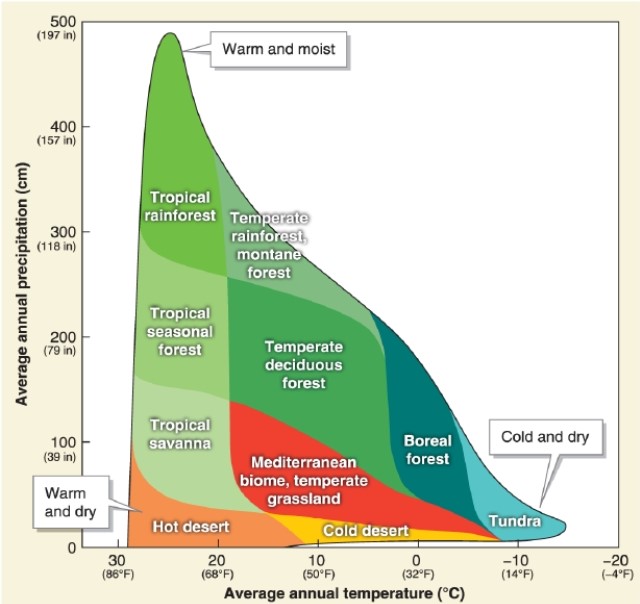 <strong> According to the graph, tropical seasonal forest occurs in what precipitation range?</strong> A)150 to 200 centimeters B)175 to 300 centimeters C)225 to 300 centimeters D)100 to 300 centimeters