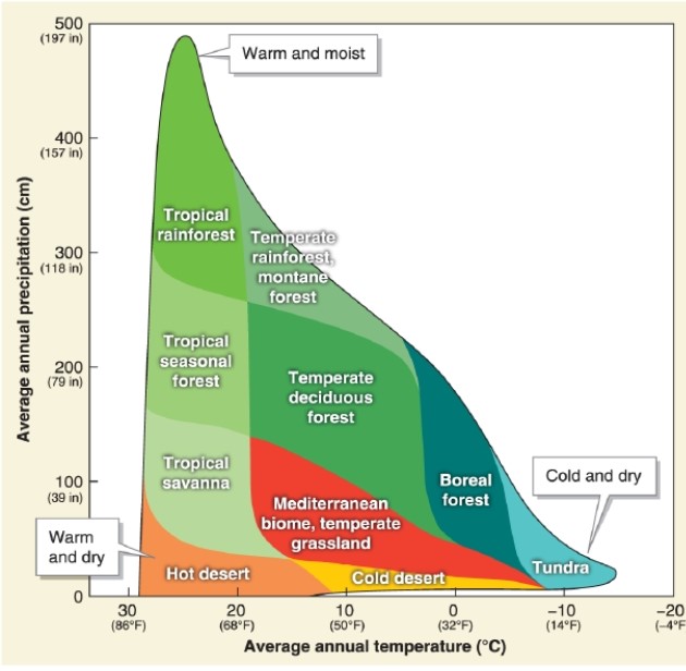   -According to this graph, temperate deciduous forest occurs in what temperature range? A) 0 to 20 degrees Celsius B) 10 to 20 degrees Celsius C) 20 to 30 degrees Celsius D) -10 to 10 degrees Celsius