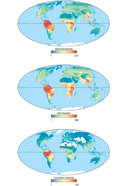 <strong> According to these maps, bird biodiversity is highest in __________.</strong> A)South America B)Africa C)Southeast Asia D)North America