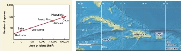   -According to the graph, approximately how many square kilometers is the island of Montserrat? A) 10 B) 100 C) 1,000 D) 10,000