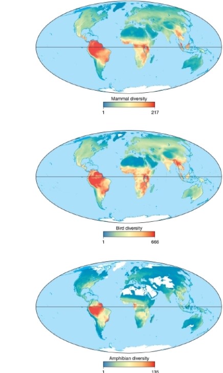   -According to these maps, mammal biodiversity is highest in __________. A) South America B) Africa C) Southeast Asia D) North America