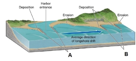 <strong> In this diagram, letter A points to what?</strong> A)sea walls B)jetties C)groins D)piers