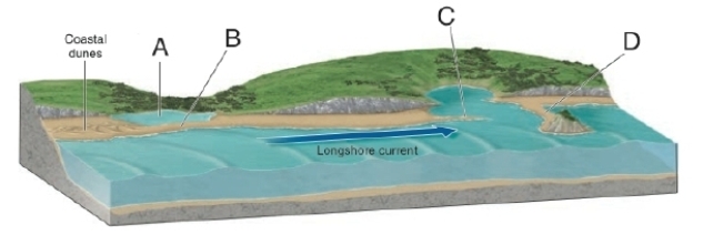   -In the diagram, letter D points to a __________. A) sandspit B) lagoon C) tombolo D) baymouth bar