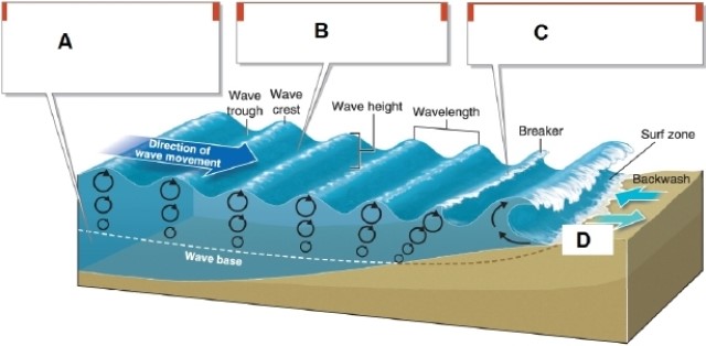   -In the diagram, box C points to what? A) the swash B) waves of oscillation C) waves of translation D) the wave base