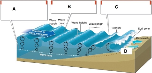 <strong> In the diagram, box B points to what?</strong> A)the swash B)waves of oscillation C)waves of translation D)the wave base