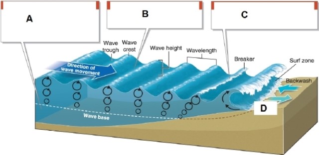   -In the diagram, box A points to what? A) the swash B) waves of oscillation C) waves of translation D) the wave base