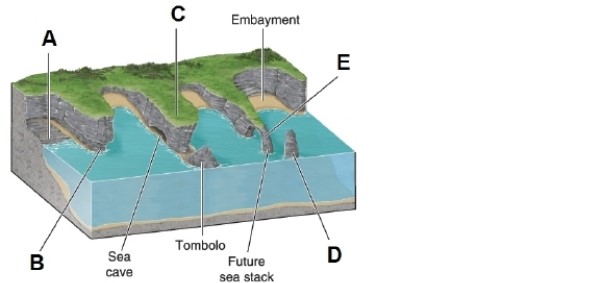   -In the diagram, letter C points to a __________. A) wave-cut bench B) wave-cut notch C) headland D) sea arch