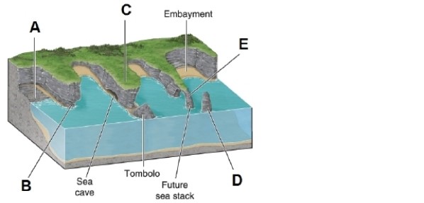   -Which location in the diagram is most likely to collapse from gravity? A) A B) B C) C D) E