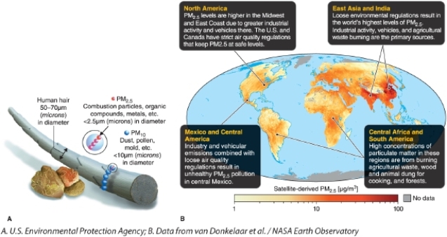   -Referring to the map, what causes particulate matter to be high in the Sahara in northern Africa? A) dust storms B) industrial emissions C) agricultural emissions D) photochemical reactions
