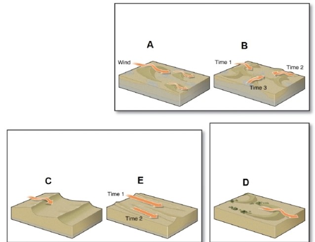 <strong> In the figure, barchan dunes are shown in which box?</strong> A)A B)B C)C D)D