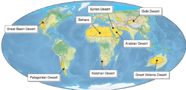 <strong> Referring to the figure, which desert is in South America?</strong> A)Gobi Desert B)Great Victoria Desert C)Patagonian Desert D)the Sahara