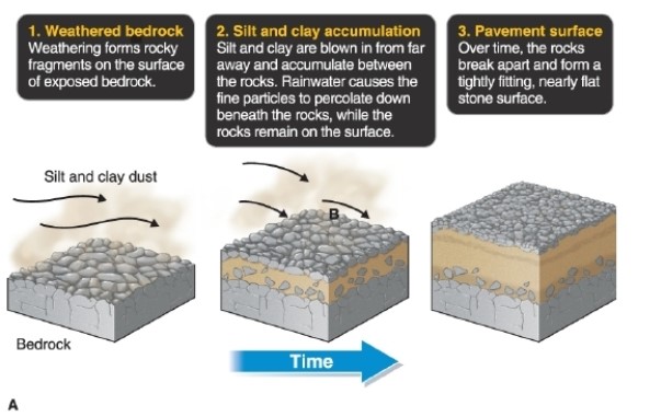   -In the figure, desert pavement is formed as __________. A) large stones are blown in from other areas B) large stones are blown away to other areas C) fine sediments are blown in from other areas D) fine sediments are blown away to other areas