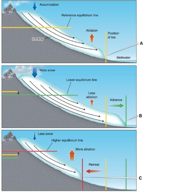 <strong> In the figure, which panel shows the toe of the glacier advancing?</strong> A)A B)B C)C D)The glacier is not advancing in any panel.