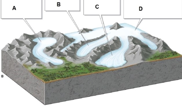  -In the image, box B shows what type of glacier? A) piedmont glacier B) valley glacier C) ice cap D) cirque glacier