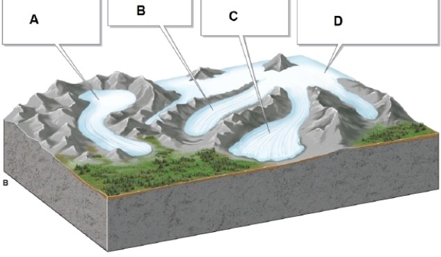   -In the image, box D shows what type of glacier? A) piedmont glacier B) valley glacier C) ice cap D) cirque glacier