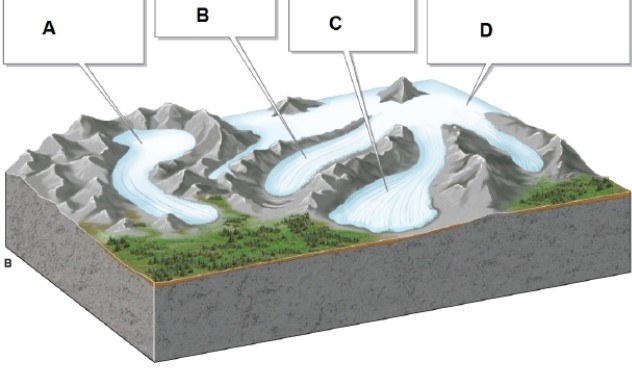   -In the image, box C shows what type of glacier? A) piedmont glacier B) valley glacier C) ice cap D) cirque glacier
