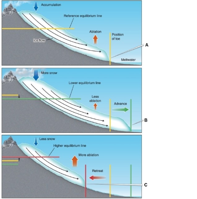   -In the figure, which panel shows the toe of the glacier retreating? A) A B) B C) C D) The glacier is not retreating in any panel.