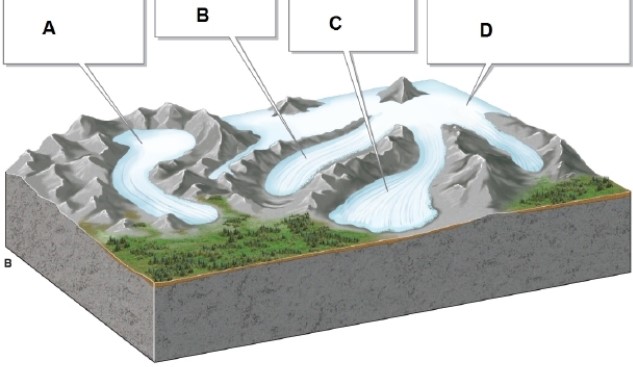   -In the image, box A shows what type of glacier? A) piedmont glacier B) valley glacier C) ice cap D) cirque glacier