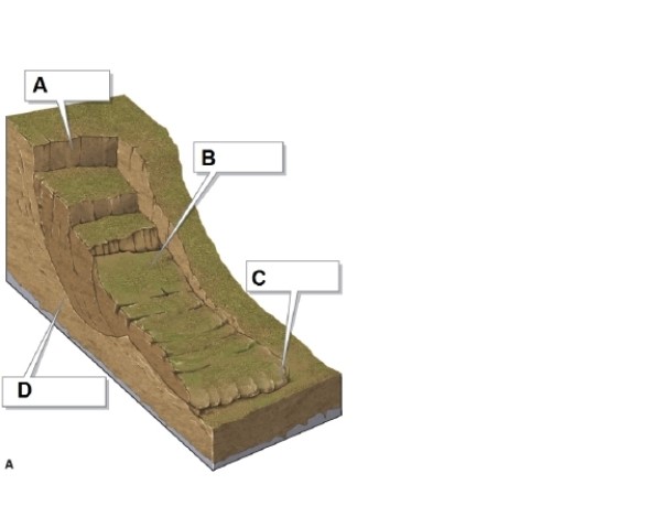   -In the figure, box A shows what? A) failure surface B) head scarp C) toe D) slump material