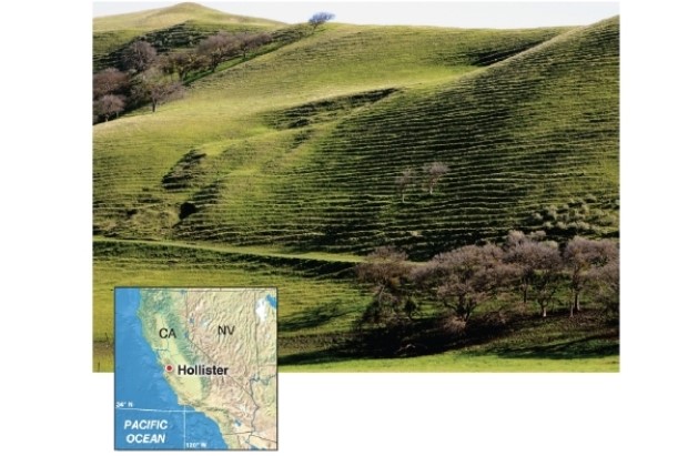 <strong> Cattle terraces, shown in the photo, are most similar to what type of natural mass movement?</strong> A)a landslide B)a slump C)a debris flow D)soil creep