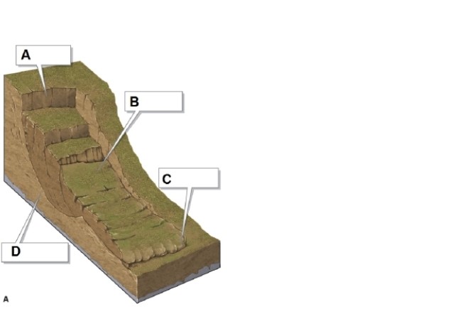   -In the figure, box C shows what? A) failure surface B) head scarp C) toe D) slump material